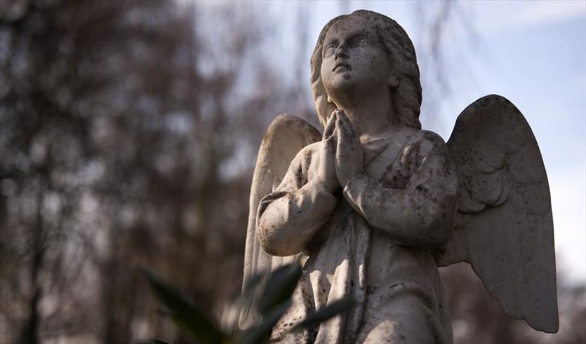 Całoroczna opieka nad grobami, Usługi Pogrzebowe Grażyna Biernacka, Lipiany